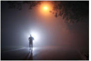 The Night Runner